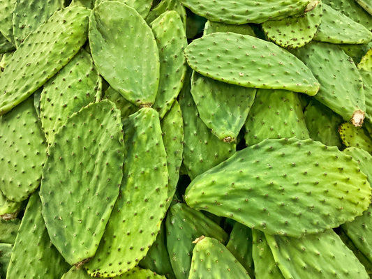 Les certifications bio des huiles végétales